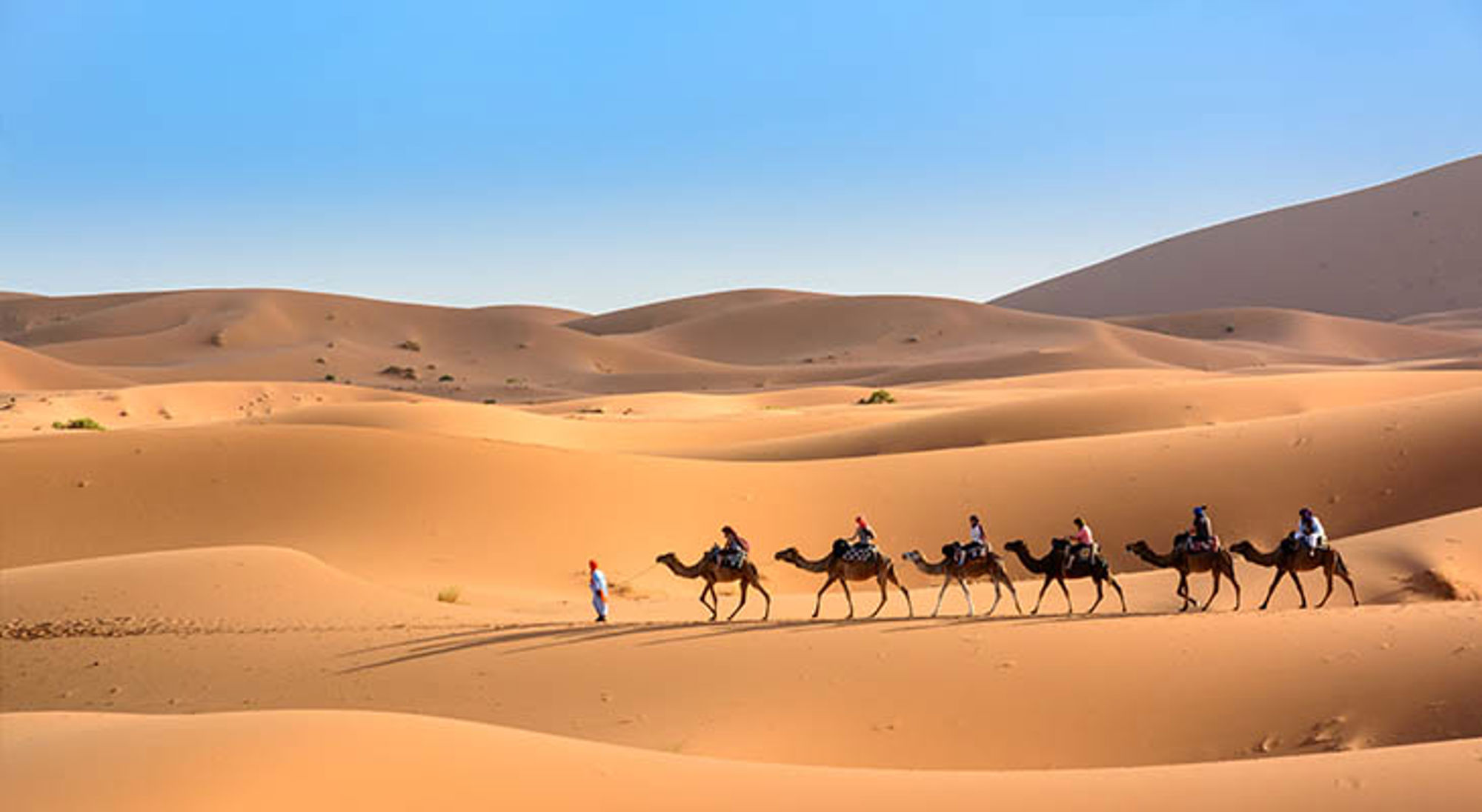 Karavaan met kamelen en reizigers in de Sahara-woestijn bij Merzouga, Marokko.