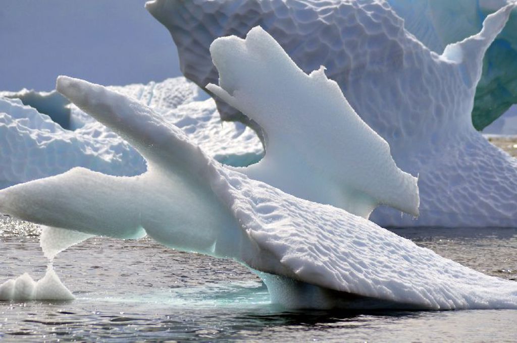 Drijvende ijsberg met grillige vormen op zee tijdens een groepsrondreis Antarctica.