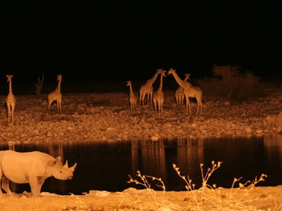 Nacht