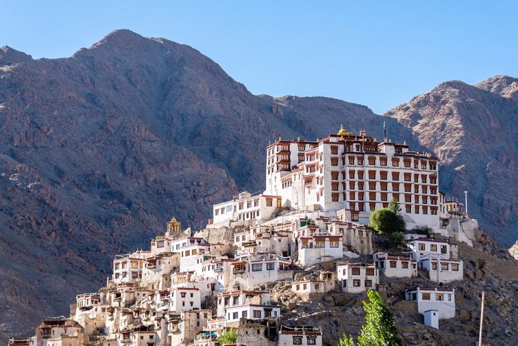 Kameelkaravaan in de zandduinen van de Nubra-vallei, Ladakh, tijdens groepsrondreis India Spiti & Ladakh.