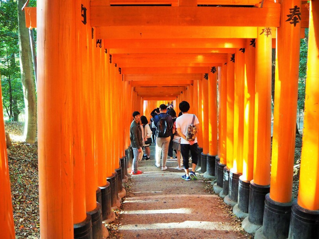 Jonge reizigers lopen door de rode torii-poorten van Fushimi Inari in Japan tijdens een 22-35ers groepsreis.