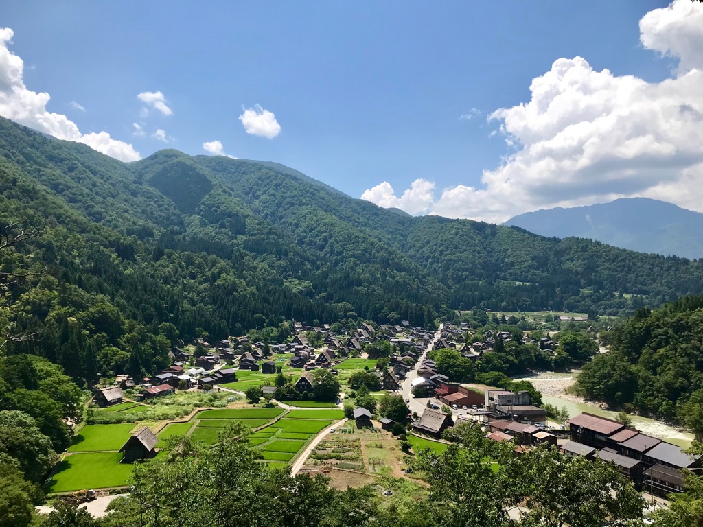 Uitzicht op Shirakawa-go met traditionele boerderijen, rijstvelden en groene bergen tijdens een familiereis Japan.