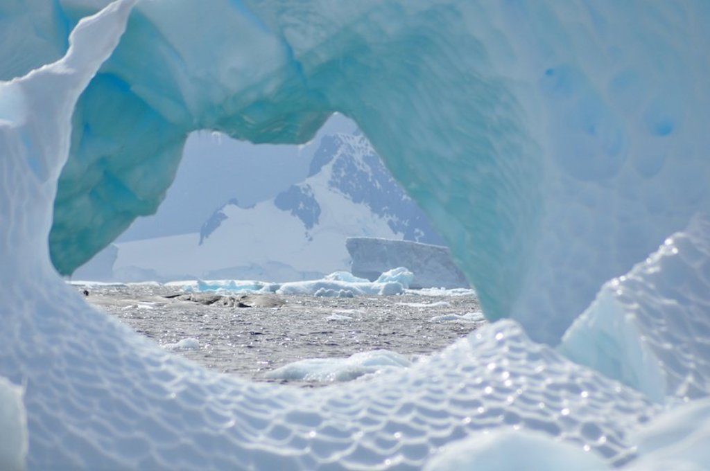 Vliegtuig boven het ijslandschap van Antarctica tijdens een groepsrondreis.