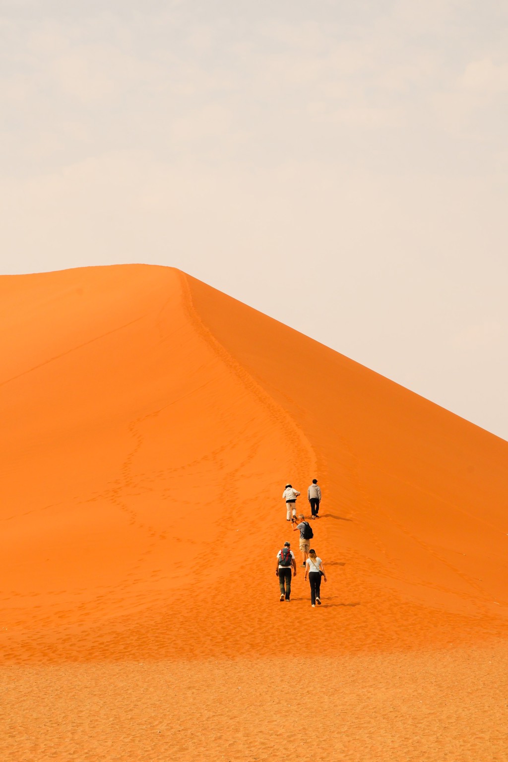 Groepsreis Zuidelijk Afrika: reizigers wandelen over een hoge zandduin in Namibië tijdens een kampeerreis.