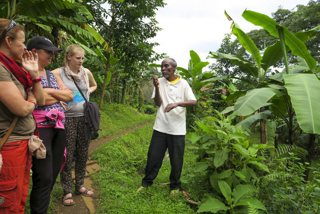 Lokale gids vertelt over bananenplanten aan reizigers tijdens groepsrondreis Kenia en Tanzania Totaal.