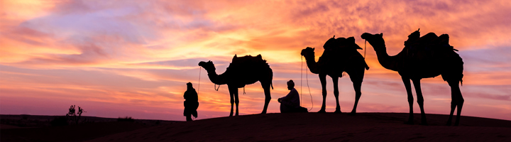 Silhouetten van kamelen en twee mensen op een duin bij zonsondergang in Oman.