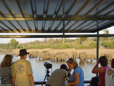 Safari bij waterhole met olifanten, bekeken vanaf een observatiehut in zuidelijk Afrika.