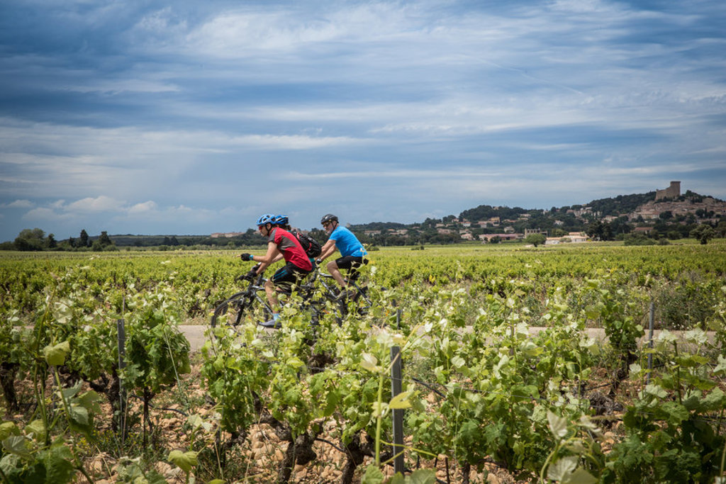Fietsers rijden door wijngaarden in de Provence tijdens een fietsvakantie.