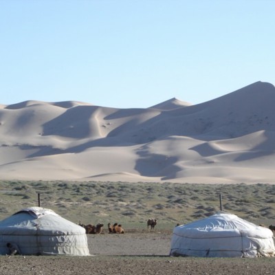 Gers en kamelen in de Gobiwoestijn met zandduinen op de achtergrond tijdens een groepsrondreis Mongolië.