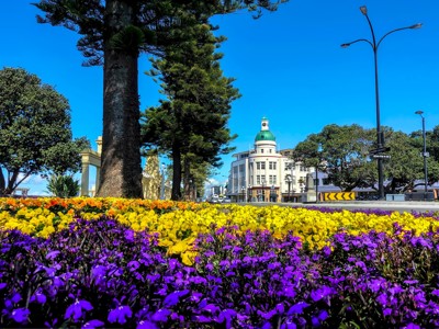 Bloemenperk met uitzicht op het art-deco-gebouw met groene koepel in Napier, Nieuw-Zeeland.
