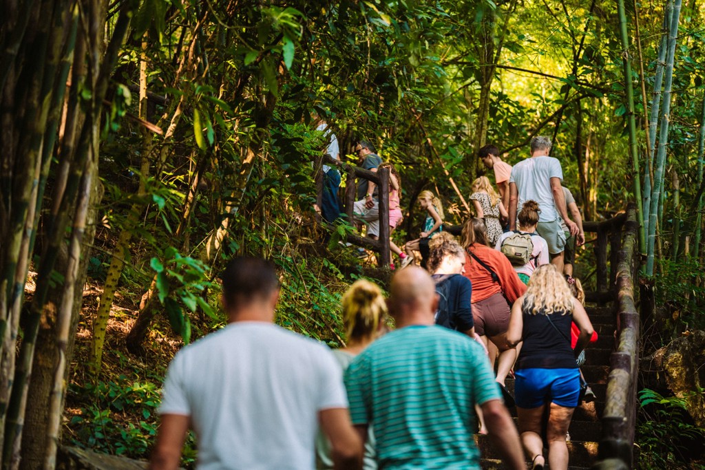 Gezin wandelt over een trap door het groene regenwoud tijdens de Familiereis Thailand Chill & Adventure.