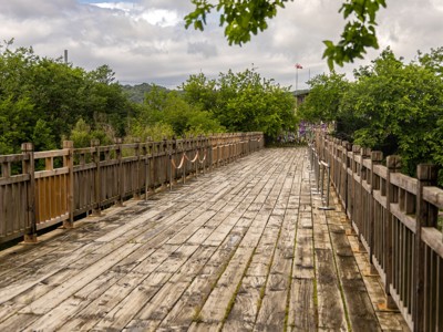 Houten wandelbrug door groen natuurgebied op de Route Zuid-Korea.