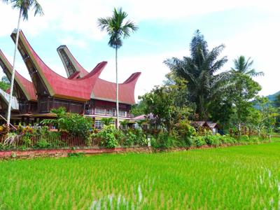 Toraja Torsina buitenkant