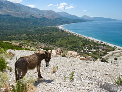 Ezel met uitzicht op de Albanese Rivièra en de Ionische Zee langs de route Albanië.