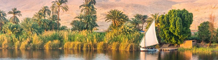 Felucca met wit zeil op de Nijl langs palmen en riet, Egypte.