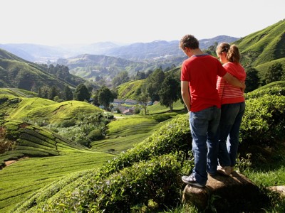 Uitzicht over de theeplantages van de Cameron Highlands in Maleisië.