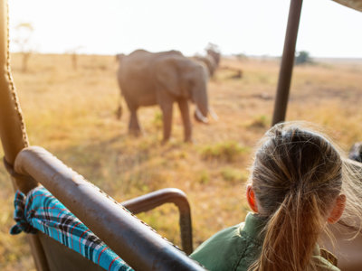 Safari in Kenia: reiziger kijkt vanuit jeep naar olifanten op de savanne.