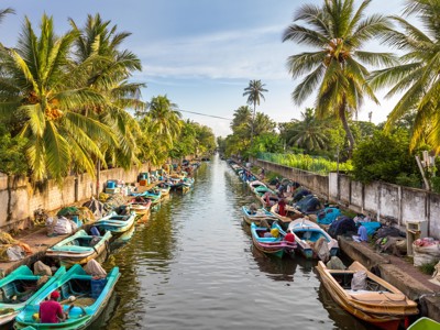 Vissersboten langs een kanaal met palmbomen in Sri Lanka.