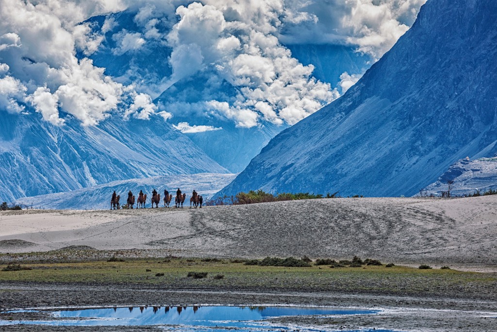 Karavaan met kamelen in de bergen van Ladakh, India, tijdens groepsrondreis Spiti & Ladakh.