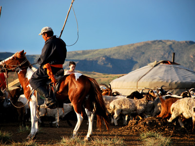 Mongoolse herder te paard bij een ger, met een kudde geiten en schapen op de steppe.