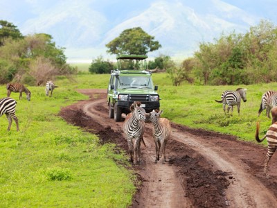 Safari-jeep tussen zebra’s op de savanne tijdens de route Kenia & Tanzania.