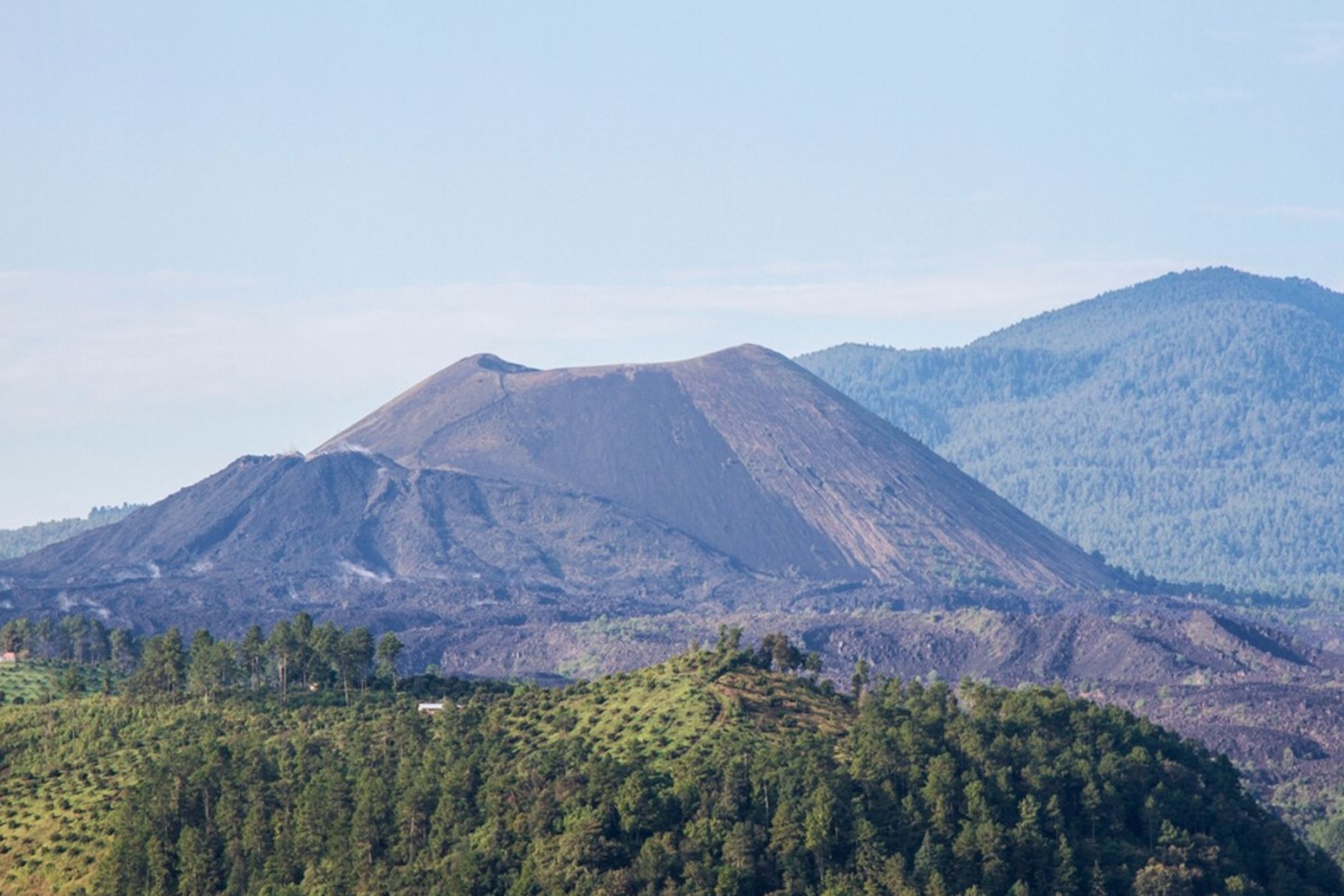 Vulkaankrater met lavavelden en dennenbossen in Mexico onder een heldere blauwe lucht.