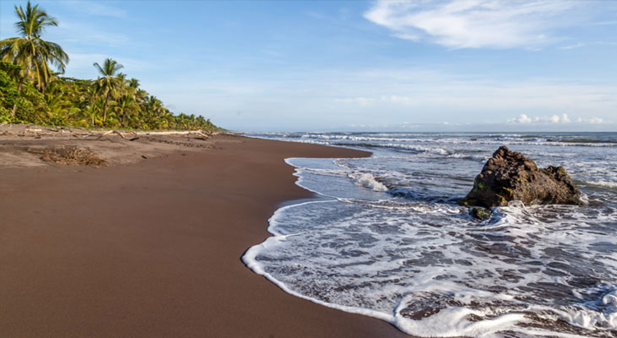 Zwart zandstrand met palmbomen en branding aan de kust van Costa Rica.