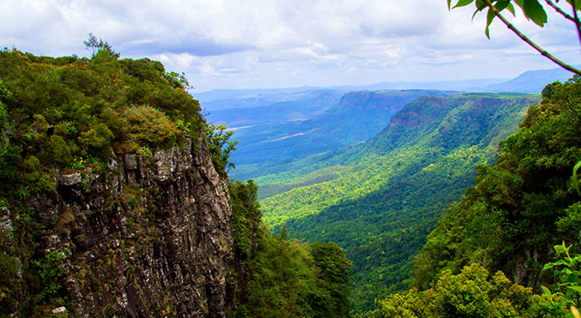 Uitzicht over de groene Blyde River Canyon met steile kliffen en bergen in Zuid-Afrika.