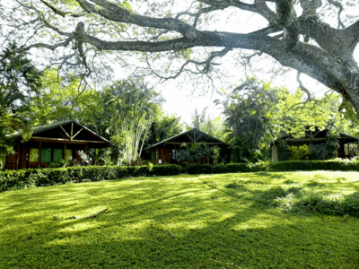 Lodges in een tropische tuin langs de route Costa Rica en Nicaragua.