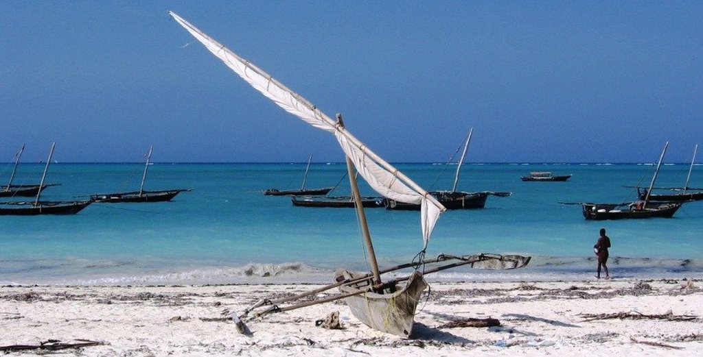 Zebra’s in de savanne tijdens groepsrondreis Kenia, Tanzania en Zanzibar.