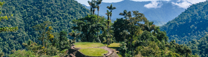 Terrassen en stenen paden van de Verloren Stad (Ciudad Perdida) in de Sierra Nevada, Colombia.