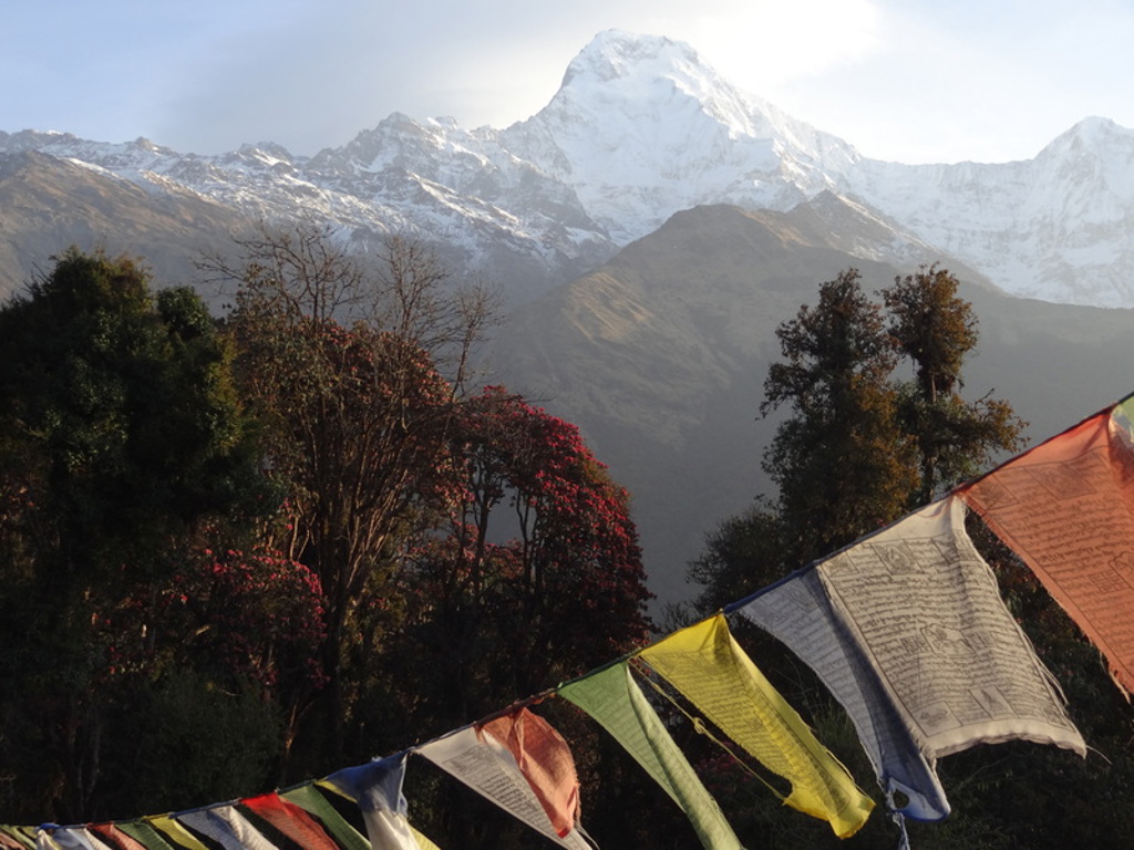 Uitzicht op besneeuwde Himalaya-bergen in Nepal met kleurrijke gebedsvlaggen op de voorgrond.