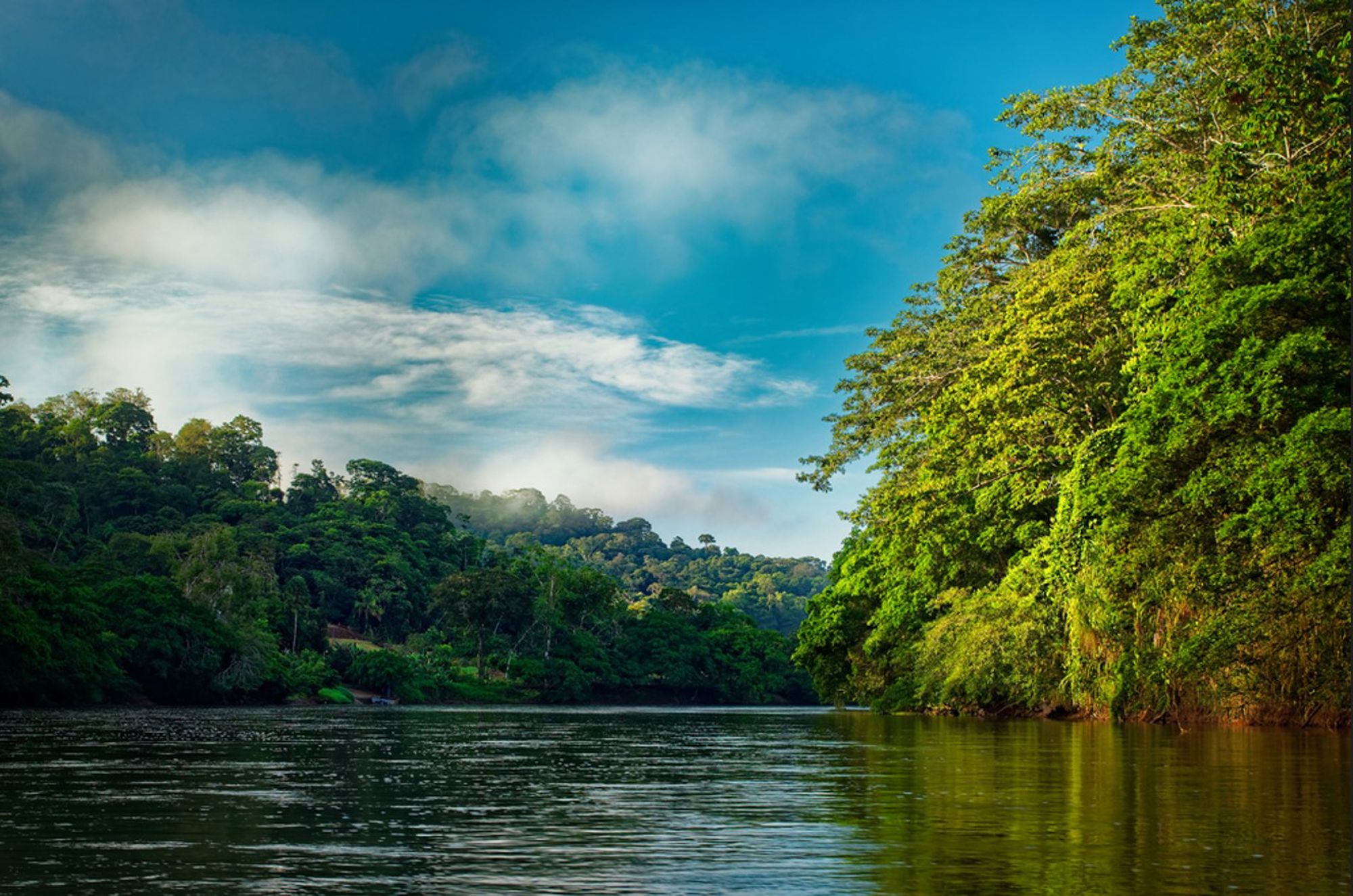 Tropische rivier met dicht regenwoud en nevel boven de heuvels in Costa Rica.