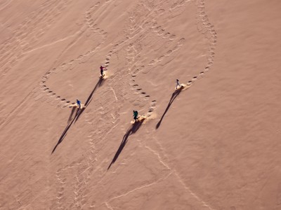 Sandboarders glijden van een hoge zandduin in Zuidelijk Afrika en trekken bochtige sporen in het zand.