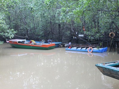 Booten bij een steiger in mangrovebos langs een rivier op Kalimantan-route.
