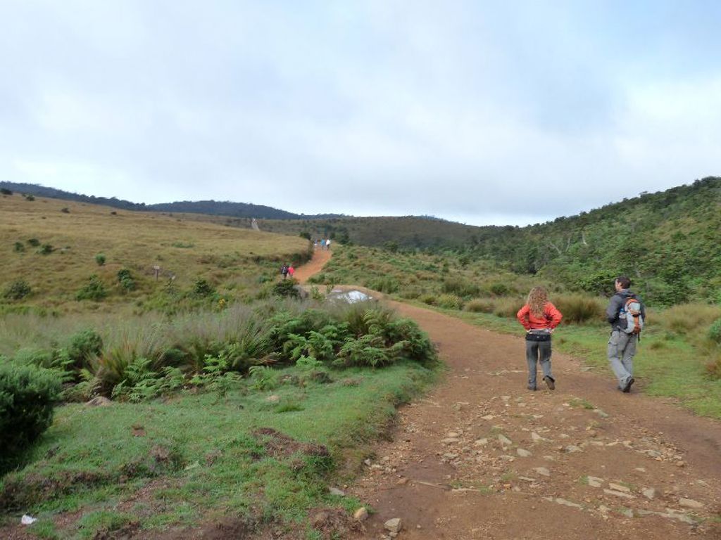 Wandelaars op een bergpad in het hoogland van Sri Lanka tijdens een groepsrondreis langs hoogtepunten.