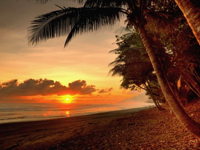 Zonsondergang op een strand in Costa Rica met palmbomen langs de kust.