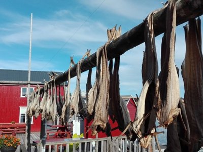 Hangbrug in mistig landschap langs de route Noorwegen Lofoten Pop-Up.
