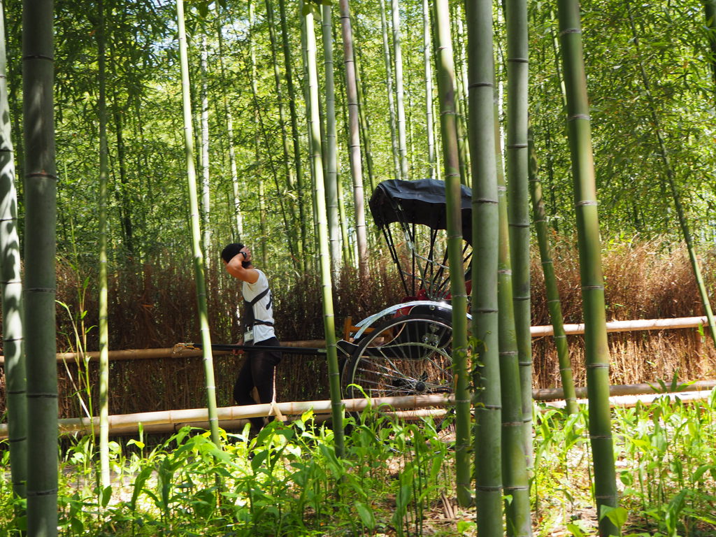 Riksja in een bamboebos tijdens een groepsrondreis in Japan.