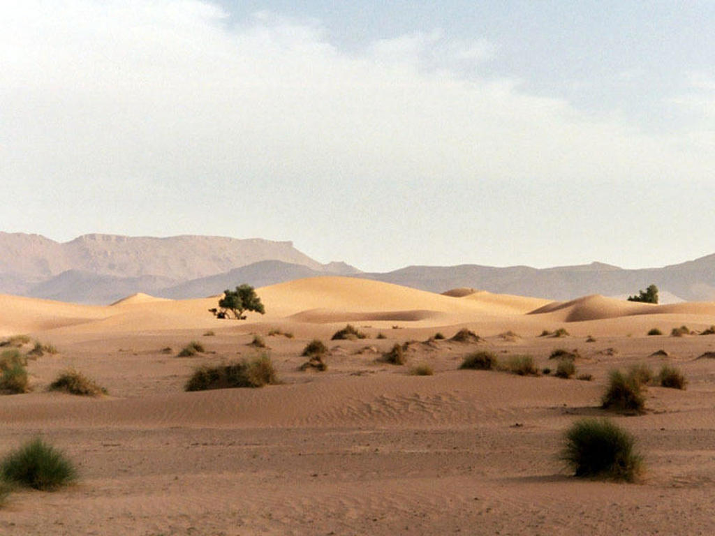 Zandduinen in de Sahara in Marokko met struiken en bergen op de achtergrond.