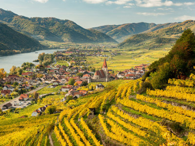 Panorama op de Wachau-vallei langs de Donau met wijngaarden en dorp met kerk, op de fietsroute Praag-Wenen.