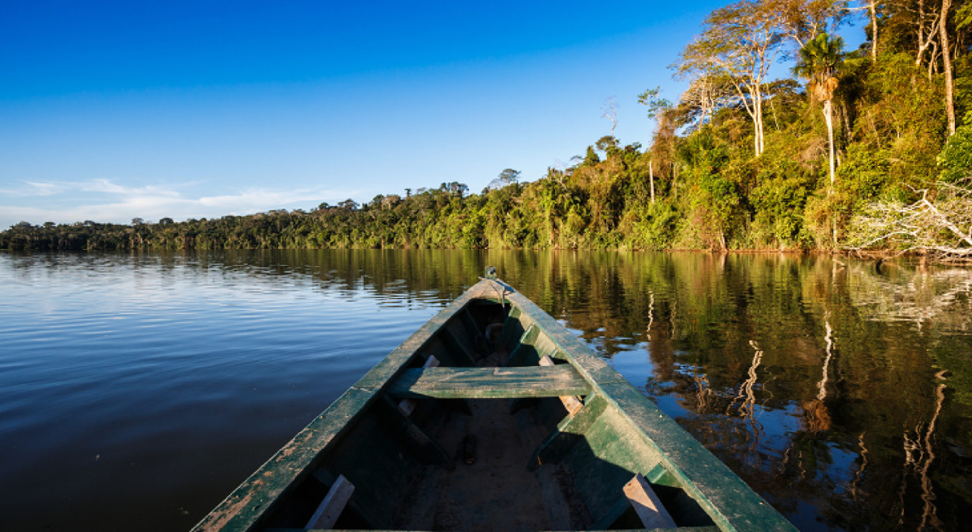 Boot op een rivier in het Boliviaanse regenwoud, met dichte jungle langs de oever.