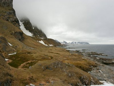 Zeilschip de Antigua vaart langs de kust van Spitsbergen tijdens de groepsrondreis van Aberdeen naar Spitsbergen.