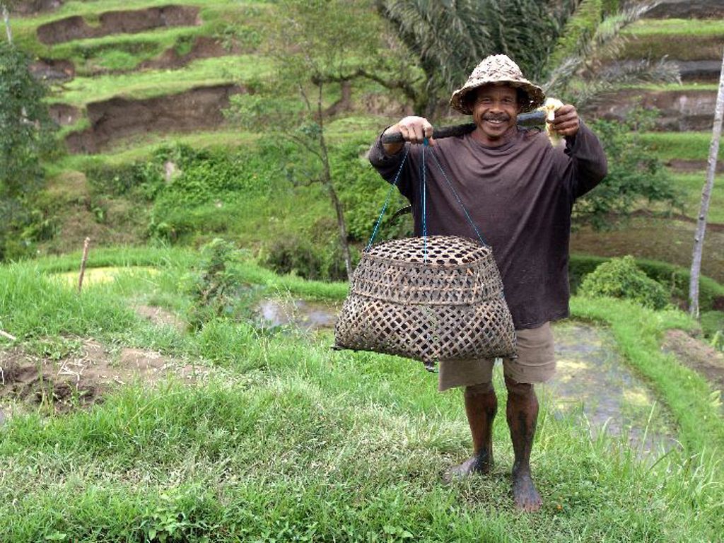 Boer met bamboemand in groene rijstterrassen op Bali tijdens groepsrondreis Java, Bali en Lombok.