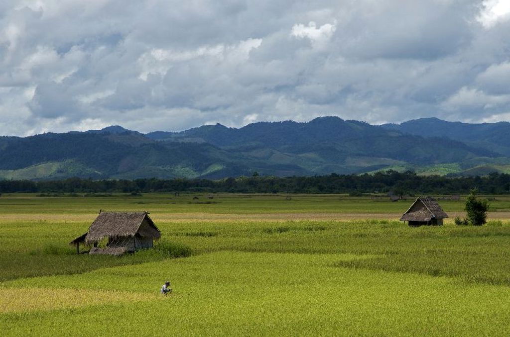 Groene rijstvelden met traditionele hutten en bergen onder bewolkte lucht in Laos tijdens groepsrondreis Laos & Cambodja.