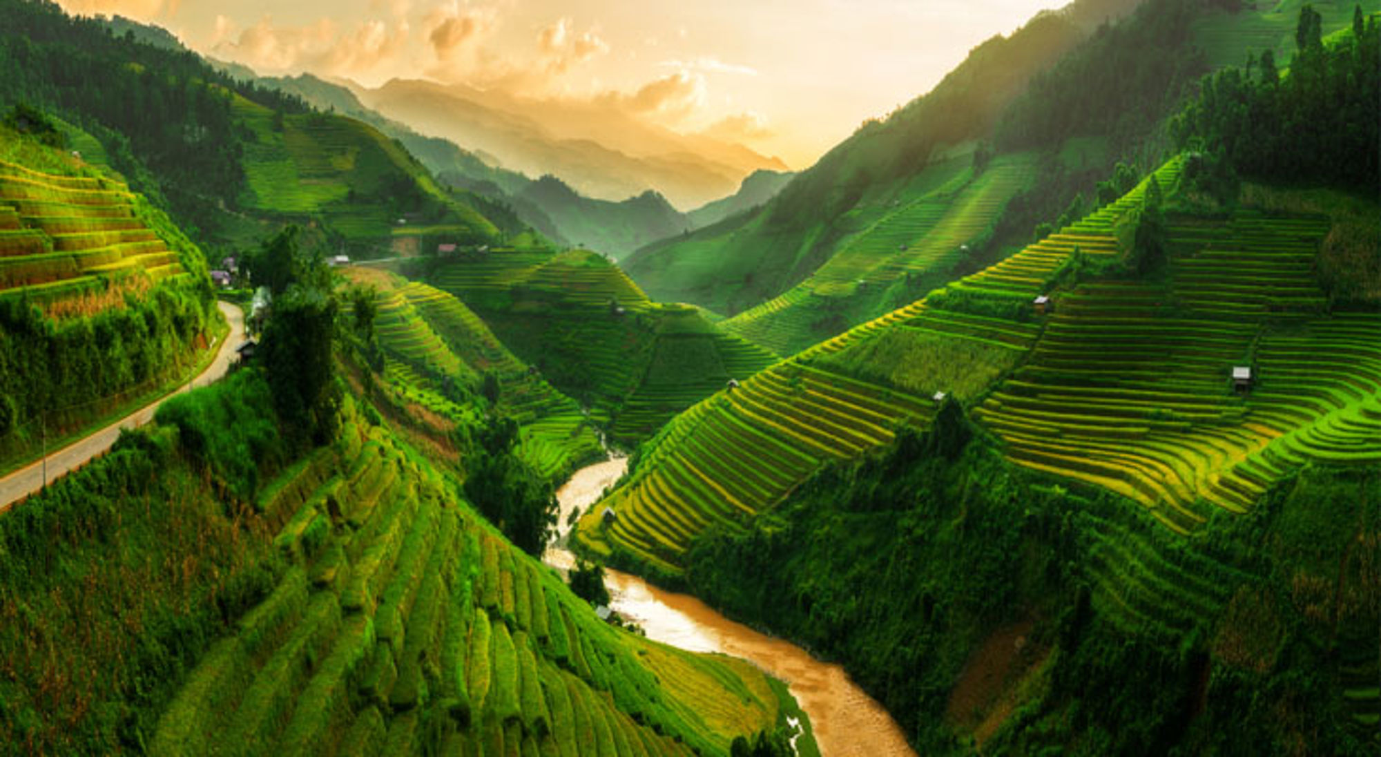 Groene rijstterrassen in de bergen van Vietnam met een rivier in de vallei bij zonsondergang.