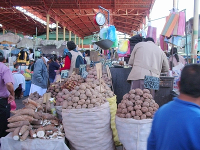 Drukke markt in Peru met grote zakken aardappelen en cassave onder een overdekte hal.