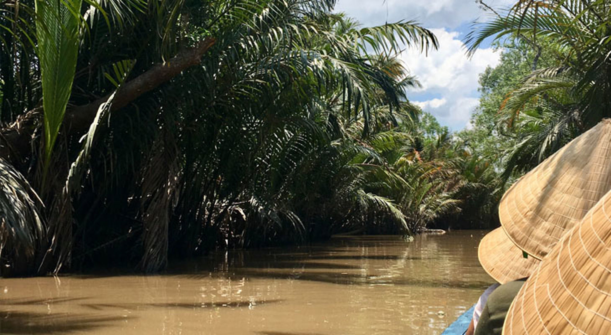 Boottocht door een smalle rivier met palmbomen in de Mekongdelta, Vietnam.