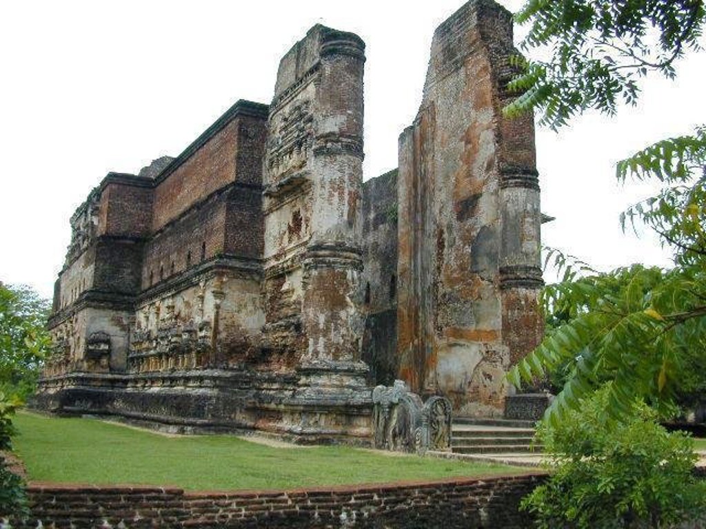 Kokospalmen tegen een heldere lucht tijdens een groepsrondreis door Sri Lanka.