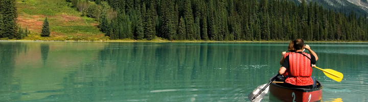 Kanotocht op helderblauw meer tussen naaldbossen in Canada tijdens een rondreis.